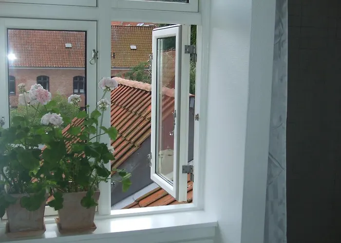 Nattely I Viborg By